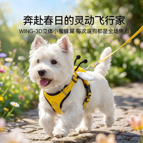 小型犬胸背带外出牵引绳