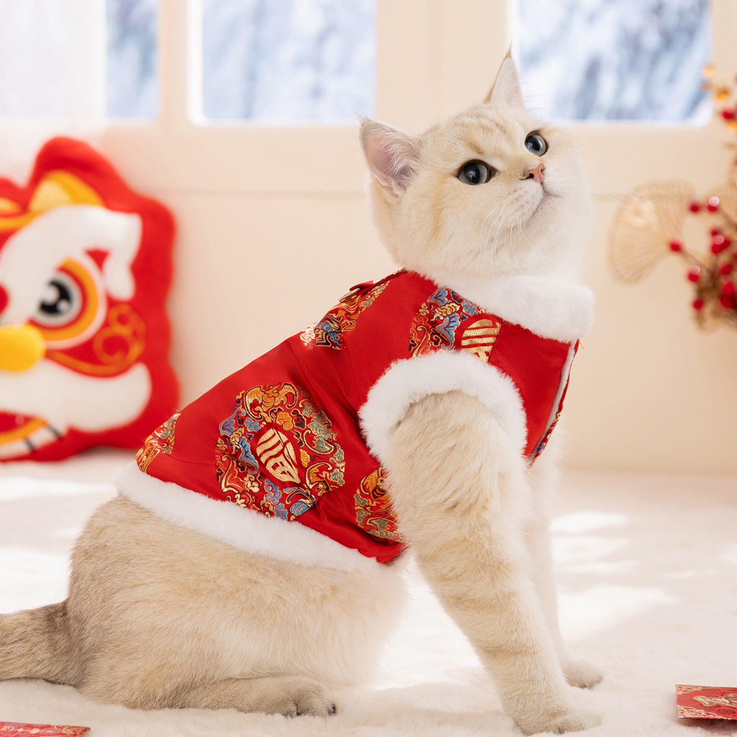 秋冬季猫咪衣服简约五龙团新年马甲德文猫无毛猫保暖过年喜庆衣服