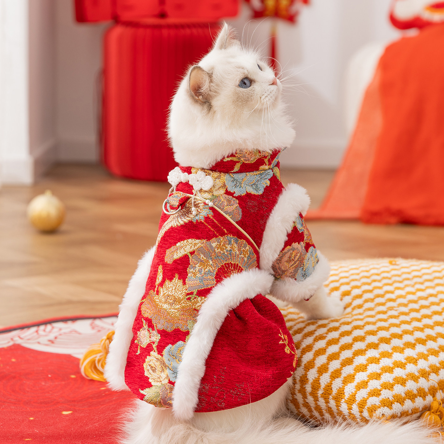 猫咪国风新中式唐装棉衣裙