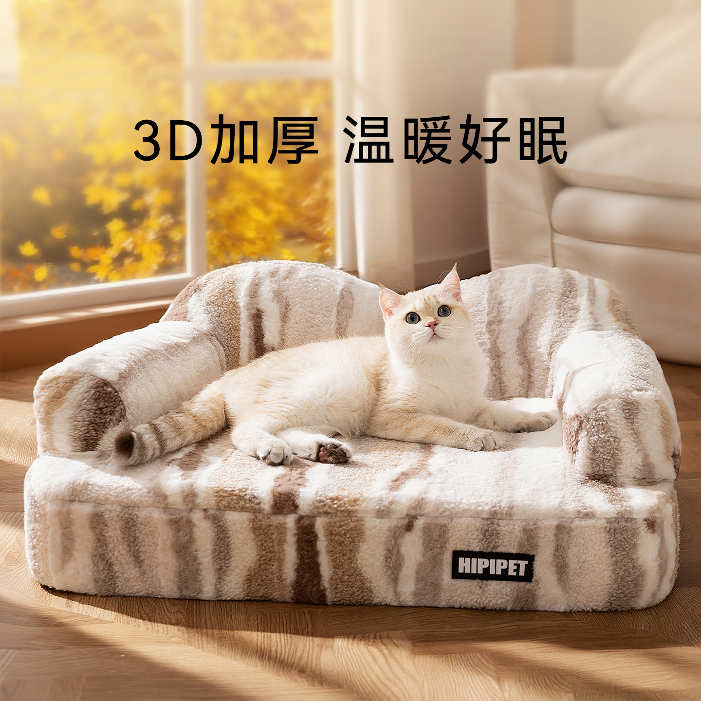 乳胶沙发猫窝！软弹护脊睡的超香