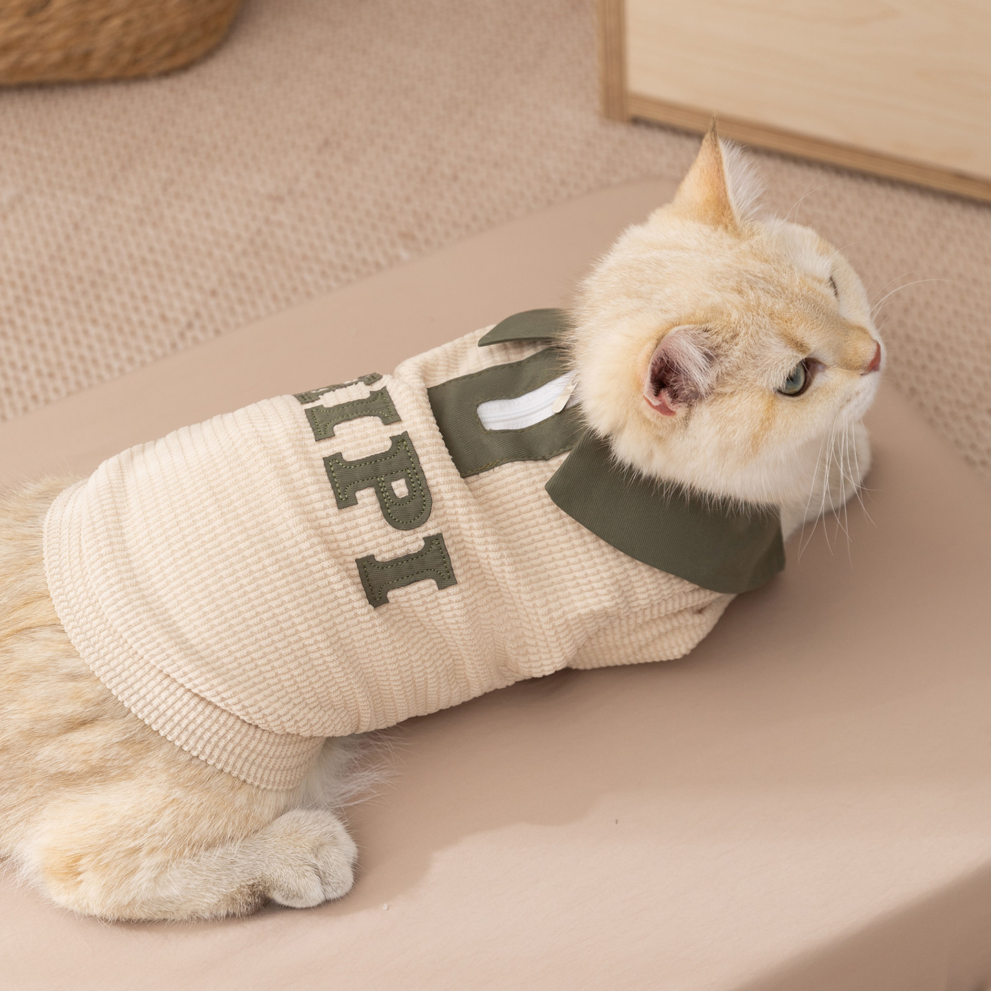 冬季猫咪衣服灯芯绒翻领开衫棉衣宠物猫防掉毛两脚衣休闲小猫服饰
