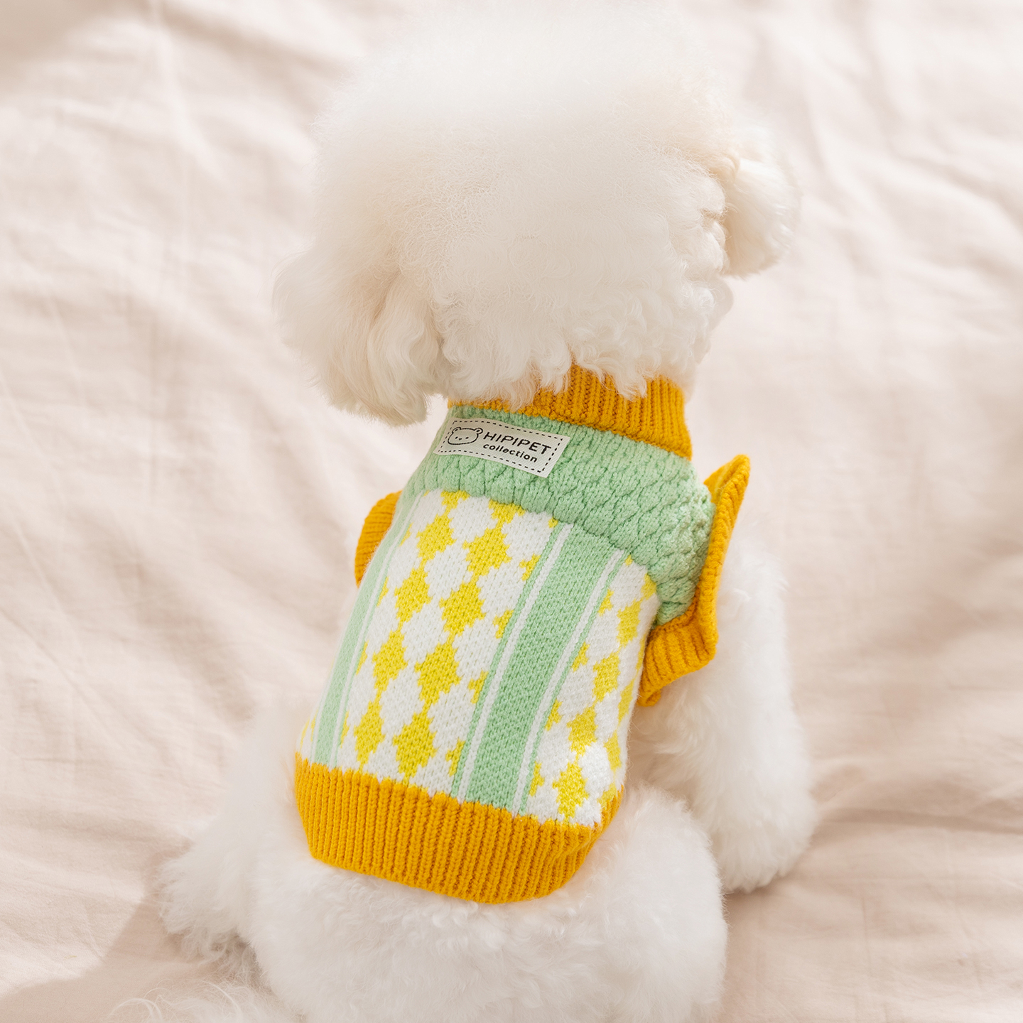 宠物小狗狗衣服菠萝针织撞色毛衣泰迪比熊小型幼犬秋冬季宠物衣服