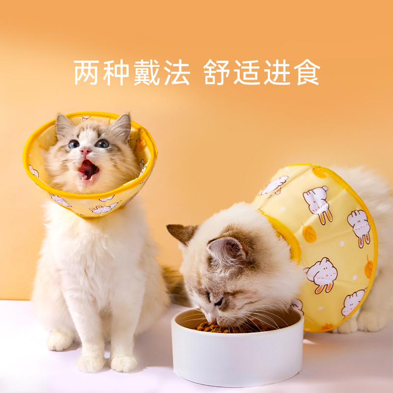 伊丽莎白圈猫咪绝育项圈