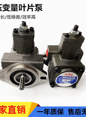 变量叶片泵VP-20-FA3液压泵总成VP-15-FA3液压油泵头SF液压站配件