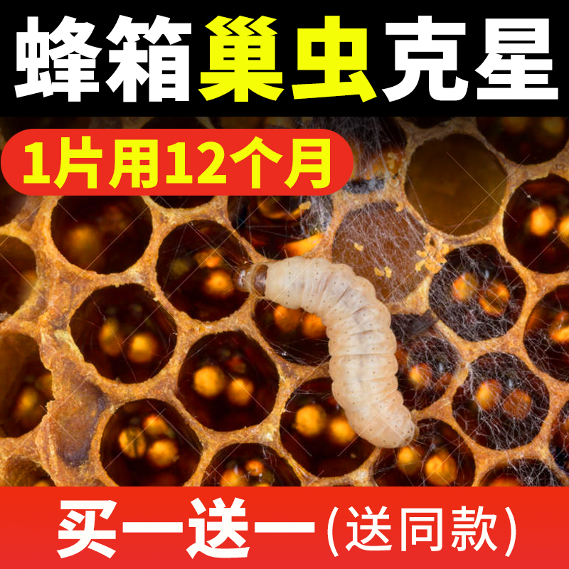 【买1送1】巢虫清木片6片10片蜜蜂巢虫棉虫防巢虫片白头蛹养蜂具
