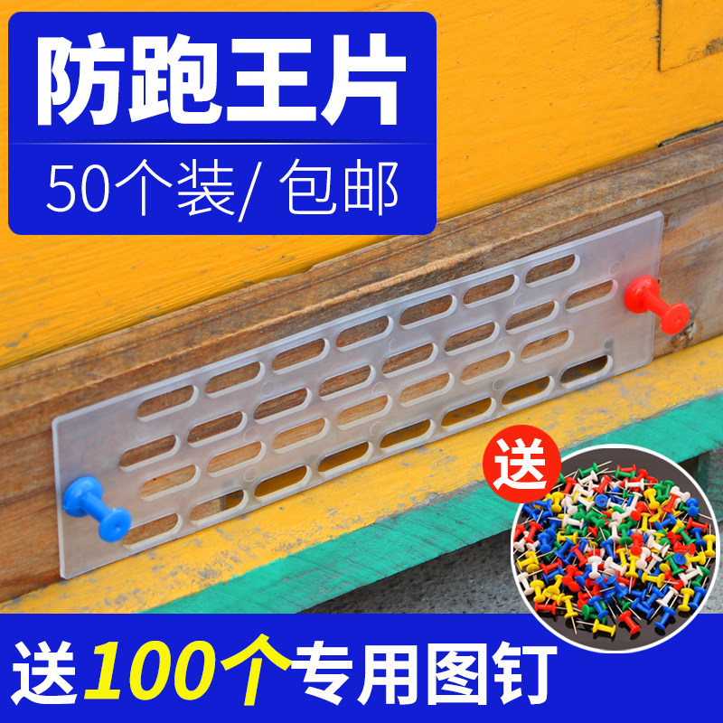 中蜂防跑片蜜蜂防逃片巢门蜂王防跑王片防盗蜂隔王养蜂工具50个装