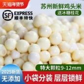 苏州鸡头米新鲜特大颗粒2斤装 2025官方芡实茨实苏芡豆非手剥干货