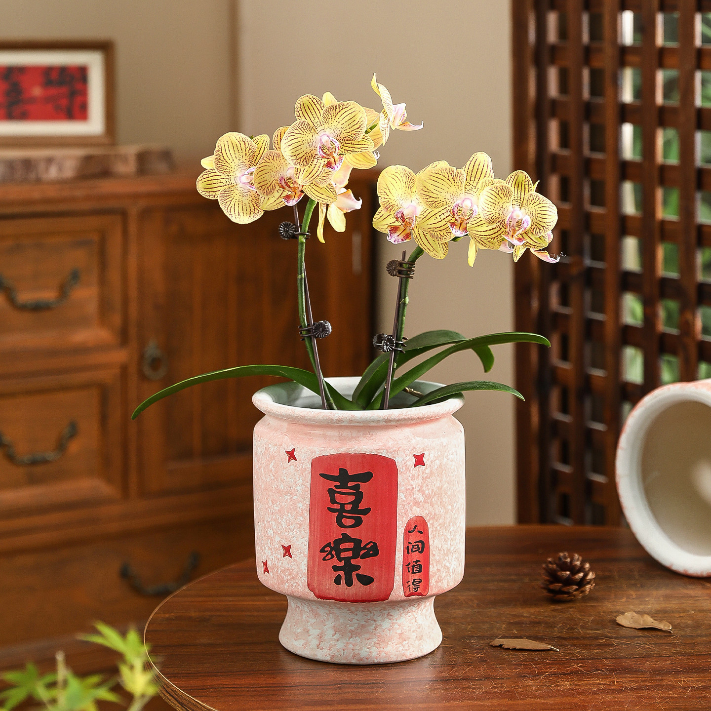 喜庆陶瓷花盆现代中式乔迁装饰摆件室内桌面三角梅蝴蝶兰通用套盆,鲜花速递/花卉仿真/绿植园艺,花盆,淘宝优惠券,粉丝福利购,淘宝优惠卷