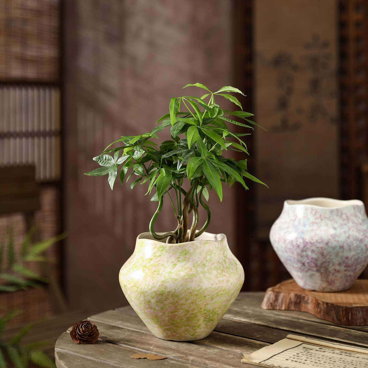 轻奢艺术感陶瓷花盆波浪边家用桌面绿植芦荟蝴蝶兰绿萝通用种植盆
