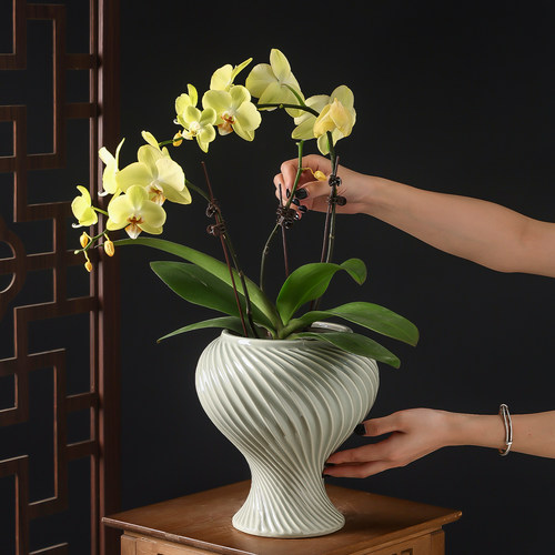 现代简约创意高级感陶瓷花盆轻奢