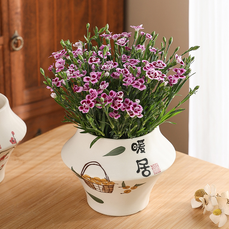 陶瓷花盆奶油风轻奢蝴蝶兰花