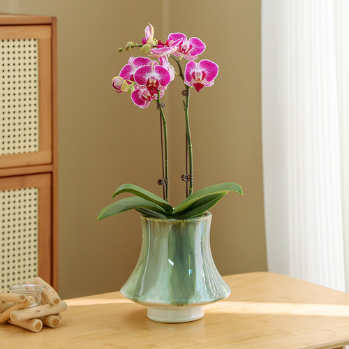 嫒悦欧式复古陶瓷花盆