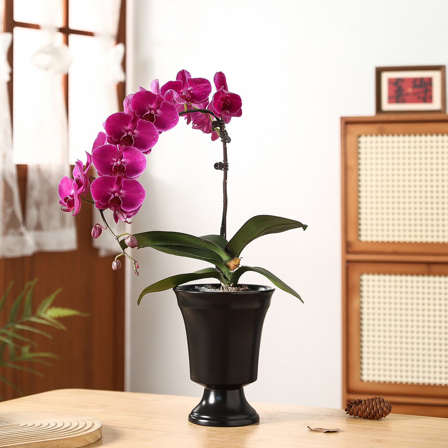 复古高脚陶瓷花盆欧式高级感家用室内软装摆件蝴蝶兰专用花卉套盆,鲜花速递/花卉仿真/绿植园艺,花盆,淘宝优惠券,粉丝福利购,淘宝优惠卷