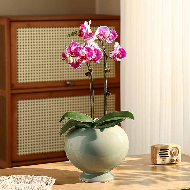家用简约新中式陶瓷花盆现代客厅高脚蝴蝶兰专用套盆精致高端绿植,鲜花速递/花卉仿真/绿植园艺,花盆,淘宝优惠券,粉丝福利购,淘宝优惠卷