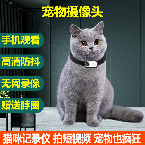 宠物摄像头猫狗视角记录仪挂脖防抖运动相机