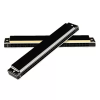 Harmonica gửi tài liệu giảng dạy 24 lỗ 10 lỗ âm thanh nhạc cụ chuyên nghiệp cao cấp dành cho người lớn trẻ em học sinh mới bắt đầu bằng thép không gỉ hai hàng - Nhạc cụ phương Tây vĩ cầm