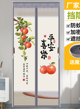 防蚊门帘2024新款隐私通风魔术贴免打孔夏季家用磁性隔断纱门纱帘