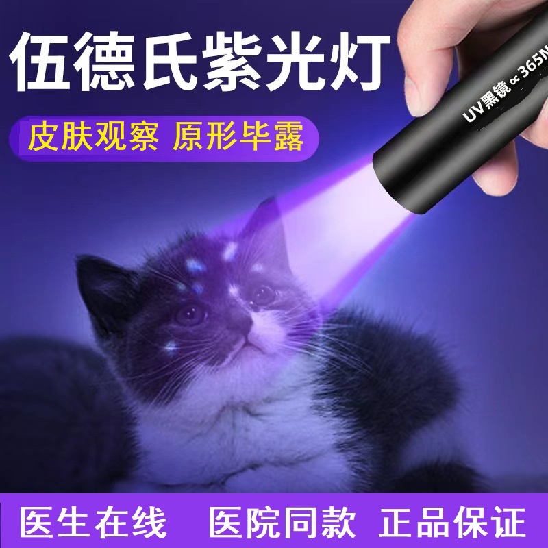 伍德紫光灯犬猫皮肤检查辅助查看