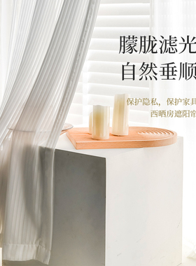 竖百叶纱帘窗帘遮光卧室新款幻影纱透光不透人白色飘窗纱防晒隔热