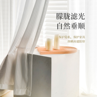 竖百叶纱帘窗帘遮光卧室新款幻影纱透光不透人白色飘窗纱防晒隔热