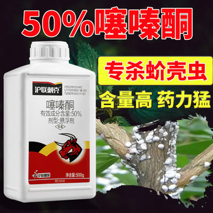 50%噻嗪酮蚧壳虫专用药柑橘柿子果树介壳虫杀虫剂蚧必治正品农药