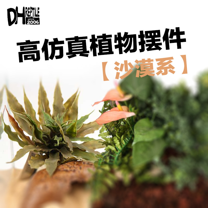 超真植物造景超真植物造景