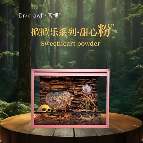 爬博新款铝合金饲养箱爬宠蛇守宫蜥蜴饲养箱睫角守宫饲养箱造景缸