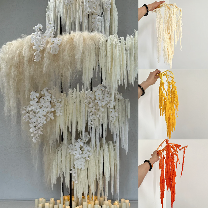 吊米永生花柔丽丝婚庆红小米美陈手捧花挂穗垂吊型线条花材干花