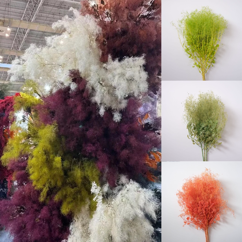 雾中情人干花永生花迷雾情人草材料花材天然真花装饰花束配花装饰