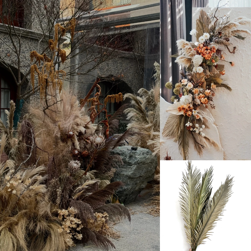 干花铁树叶散尾葵叶花材天然叶子干花/花瓣/干花包/