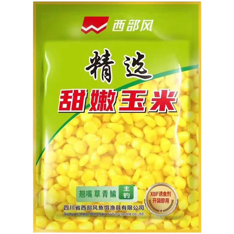 鲜嫩玉米大物野钓鲤草青鱼