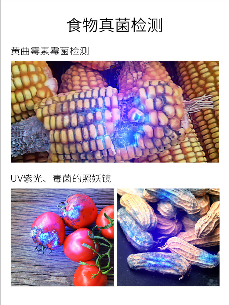 黄曲霉素菌检测笔荧光剂检测灯紫光灯真菌毒素365nm紫外线手电筒