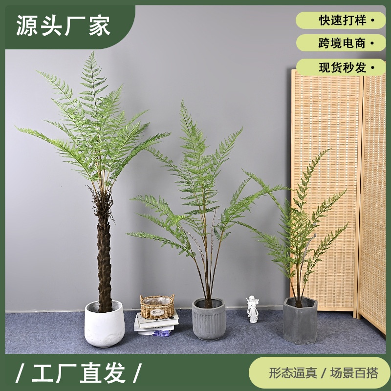 仿真蕨叶树软装造景家居装饰工程源头现货供应娑罗树人造蕨树