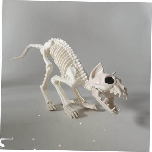 HalloweenSkuBatspider