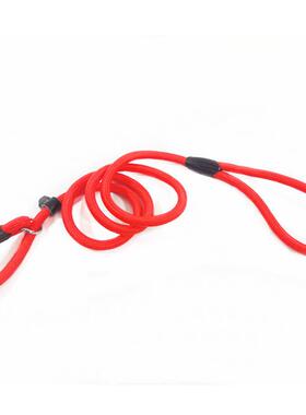 Dog Training Leash Slip Pet Dog Nylon Rope Lead Strap Tracti