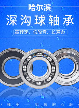 哈尔滨HRBvZC轴承深沟球高速耐高温电机静音6305-2Z/2RZ/RS/P5/P4