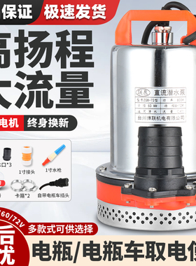 直流潜水泵12V24V48V60V电瓶车电动车纯铜水泵小型灌溉农用抽水机