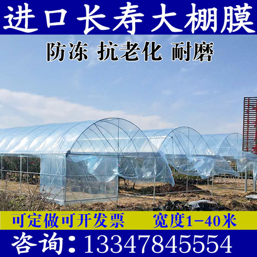 进口大棚膜蔬菜保温养殖黑白膜
