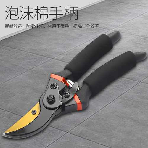 园艺剪刀果树剪修枝剪园林粗枝剪树枝用的剪刀花艺修枝剪摘果