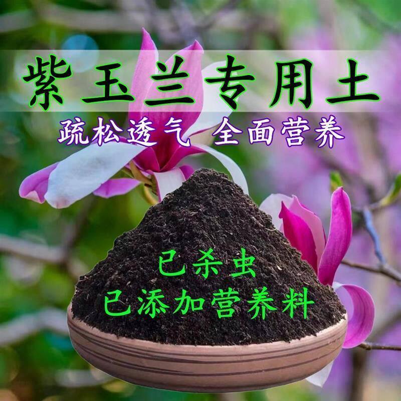 紫玉兰专用土紫玉兰专用营养土盆栽土养花种花土通用种植土壤肥料