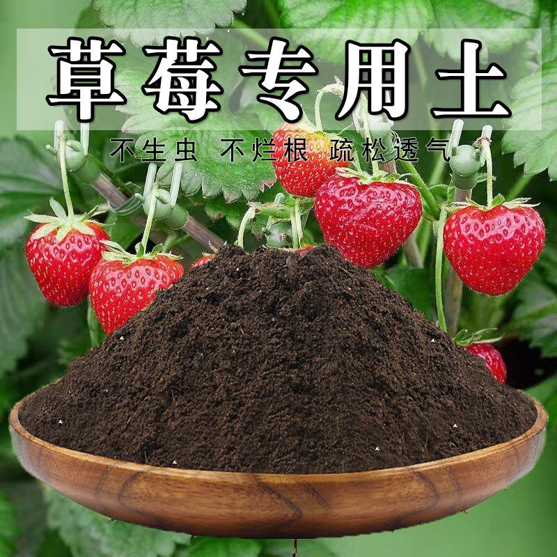 草莓专用土盆栽水果草莓有机肥料营养土通用酸性土养花泥土种植土