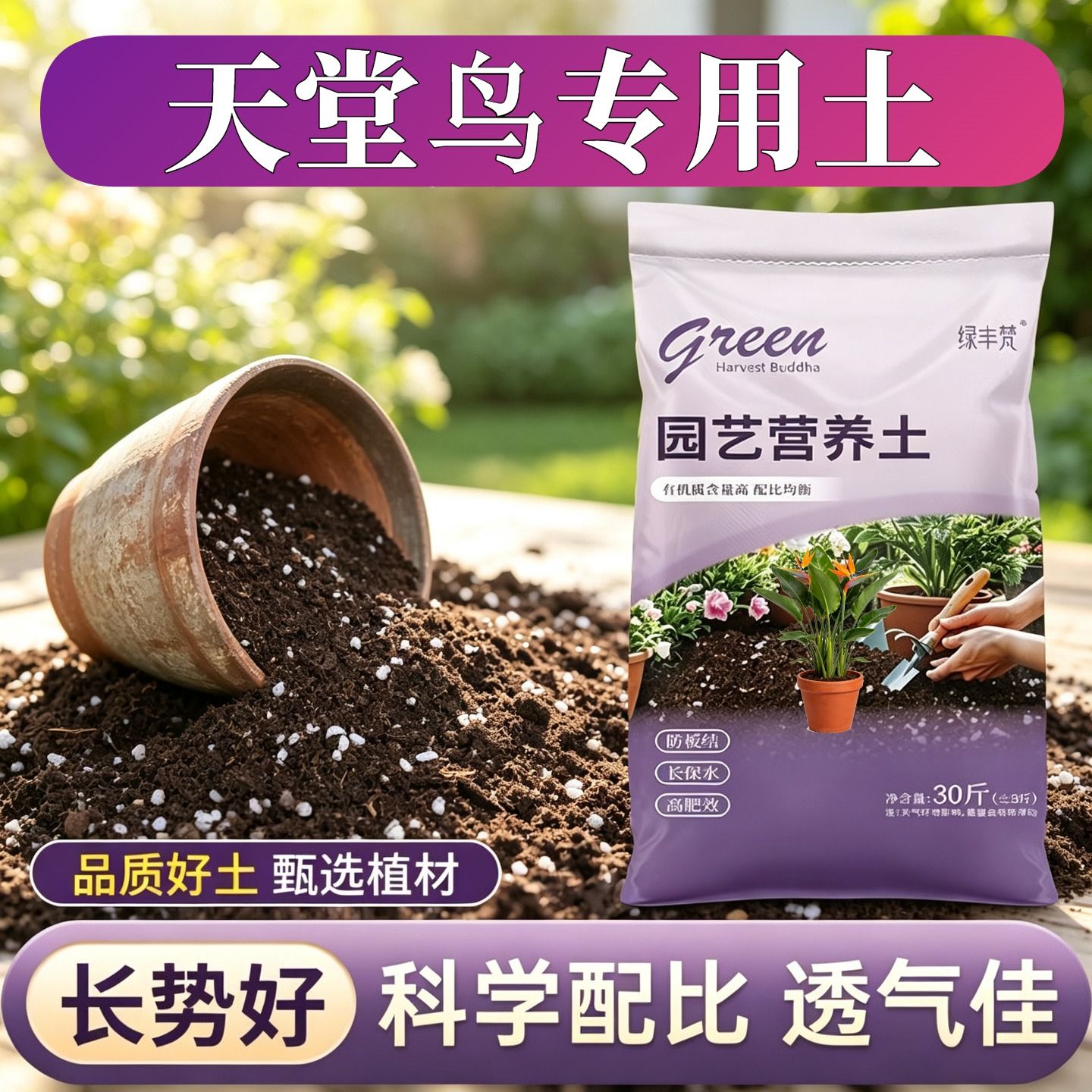 天堂鸟适用进口泥炭土腐殖泥炭土室内大包进口促生长多肉盆栽精选