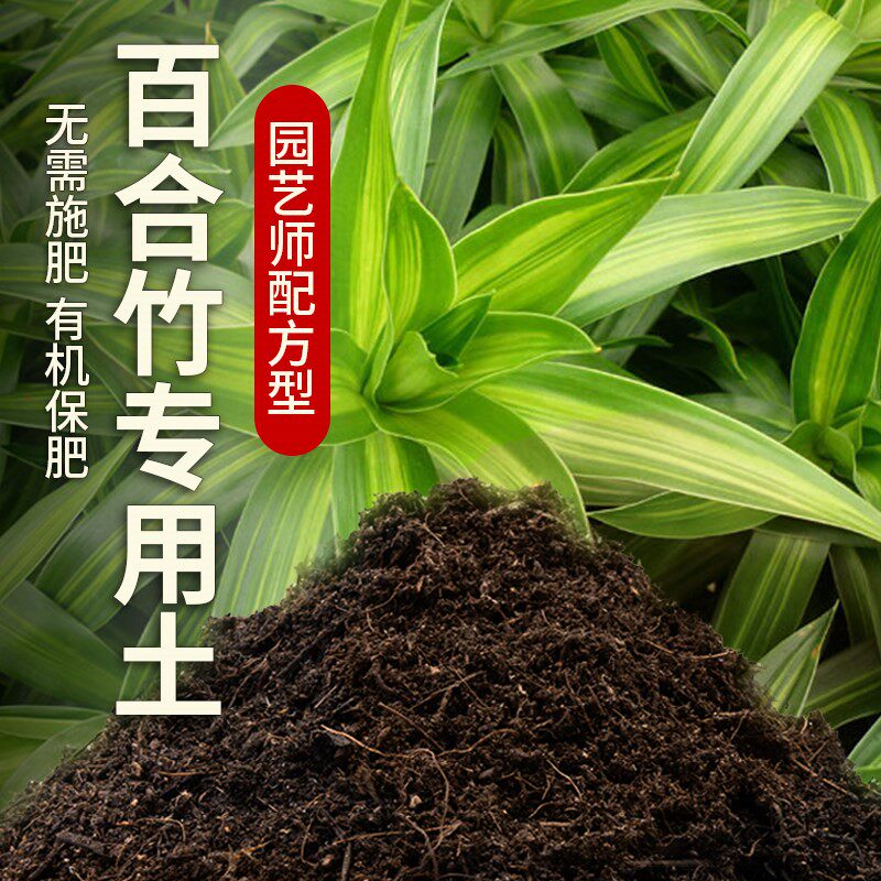百合竹专用土家用养花种植土肥料有机土种花盆栽土百合竹营养土图片