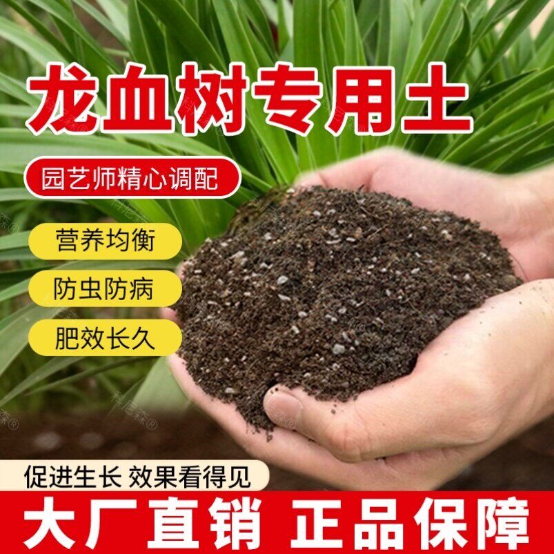龙血树专用土龙须树营养土透气花肥家用种植种花盆栽蓬松泥土花卉