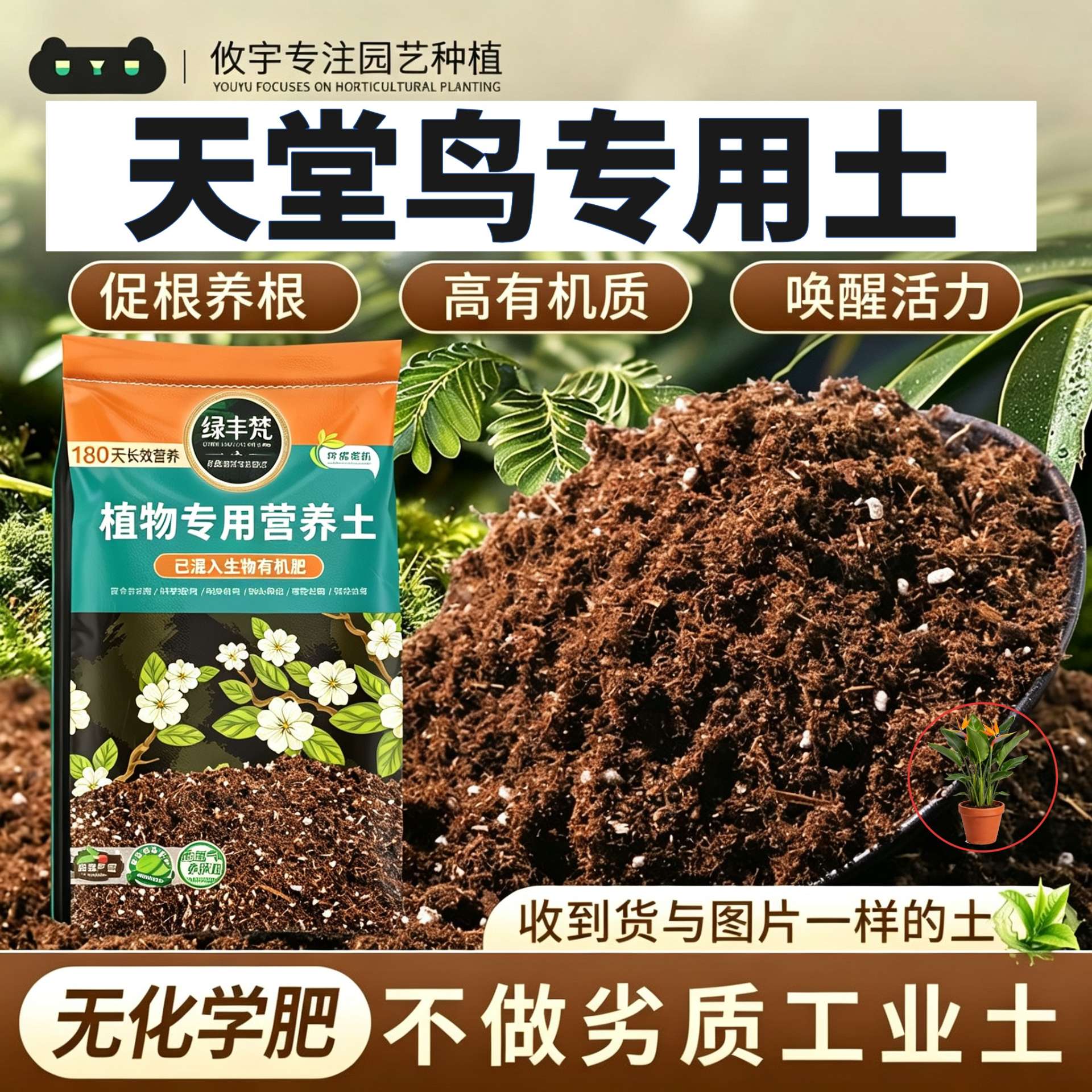 天堂鸟适用腐殖土利于发根养花营养土结构稳定改良基质试用装观花