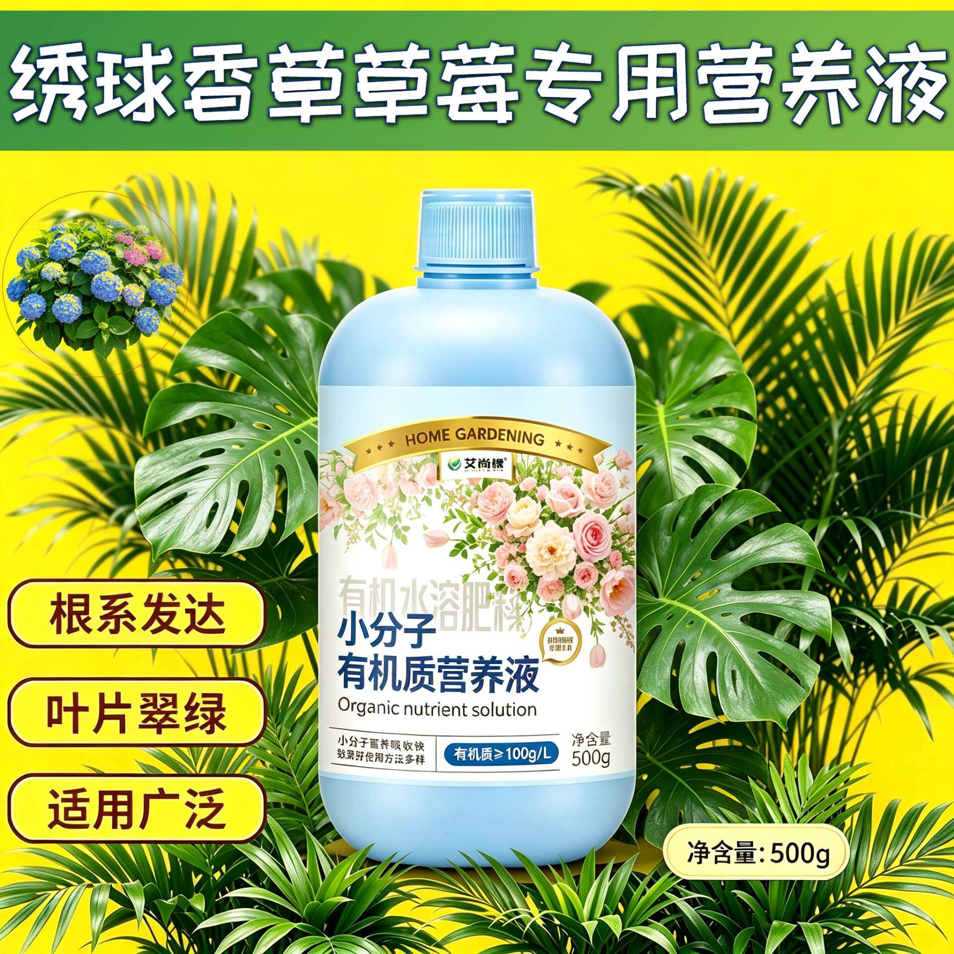 绣球香草草莓专用小分子氨基酸快速吸收浓缩高效盆栽家用叶绿花艳