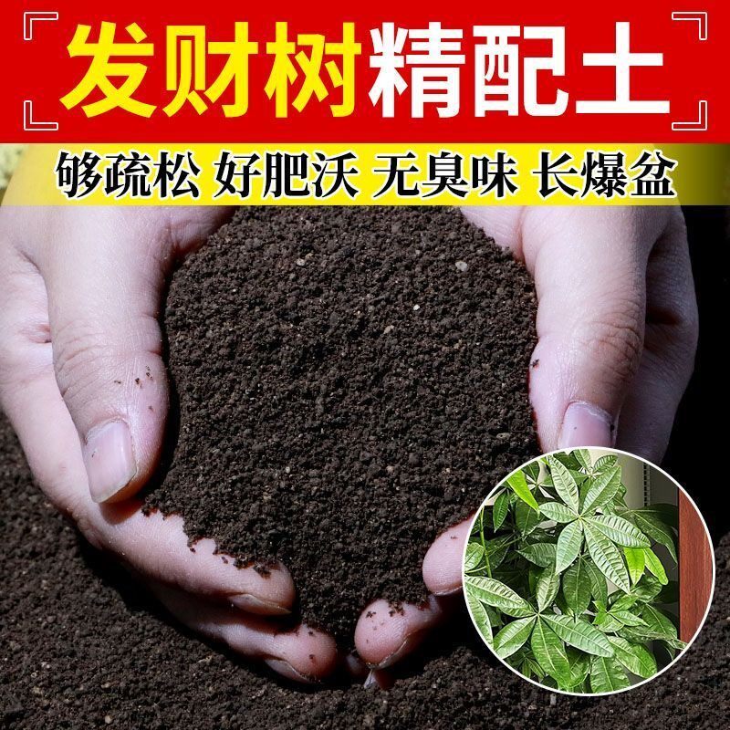发财树种植土发财树专用营养土盆栽土室内种花养花土疏松透气土壤