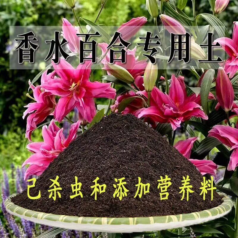 香水百合专用土盆栽养花种植土壤百合花通用营养土有机肥料种花土