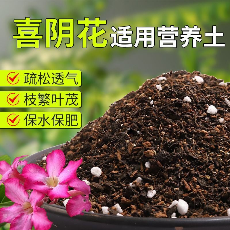 【喜阴花专用土】疏松透气盆栽绿植专用室内植物有机营养土肥料