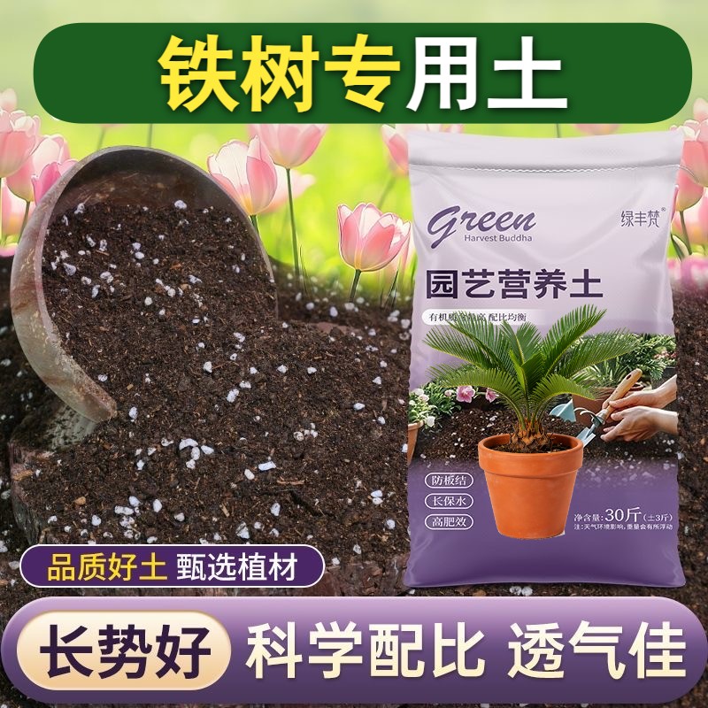 铁树适用栽培土根壮苗好加珍珠岩阳台泥炭基质天然防徒长喜酸增色